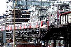 Baumwall, 12. March 2005