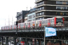 Baumwall, 12. March 2005