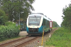 Troldhede, 17. June 2006