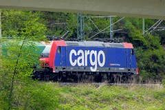 SBB CFF FFS Cargo 482, Bad Schandau an der Elbe, 3. May 2015