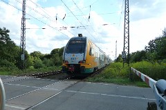 ODEG ET 445 Kiss, Lübsdorf, 11. August 2014