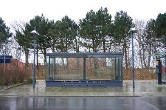 Lyngs, 21. January 2007