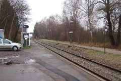 Brødeskov, 6. December 2008