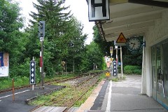 Neselvang, 30. June 2008