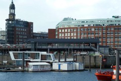 Baumwall, 18. September 2010