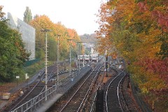 Hagenbecks Tierpark, 21. October 2007