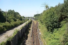 Rissen, 24. July 2008