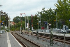 Schneverdingen, 21. August 2014