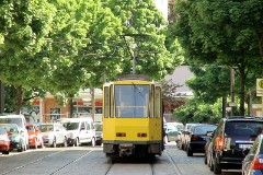 Berlin, Weidenweg, 10. May 2008