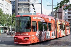 Braunschweig, 12. July 2008