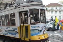 Lisbon, 16. February 2010