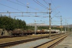 Hjerkinn, 23. July 2010